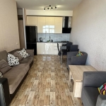 Two Bedroom Apartment In Gldani For Rent (7)