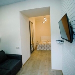 One bedroom apartment in Rustaveli for rent (8)