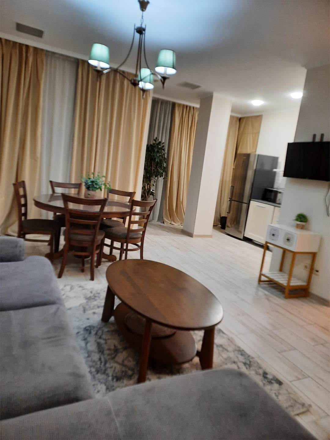 Two bedroom apartment in Mtatsminda for rent (15)