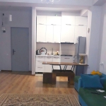 1 Bedroom Apartment in Samgori for Sale