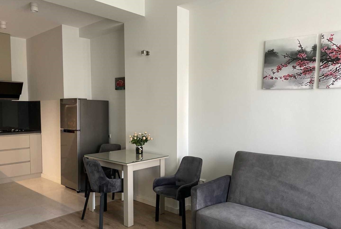 1 bedroom apartment for rent in Axis Towers Vake