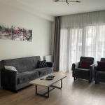 1 bedroom apartment for rent in Axis Towers Vake