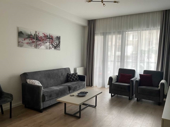 اجاره آپارتمان 1 خوابه در اکسیس تاورز وکه 8 1 bedroom apartment for rent in Axis Towers Vake