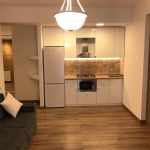 1 bedroom apartment for rent in Vake