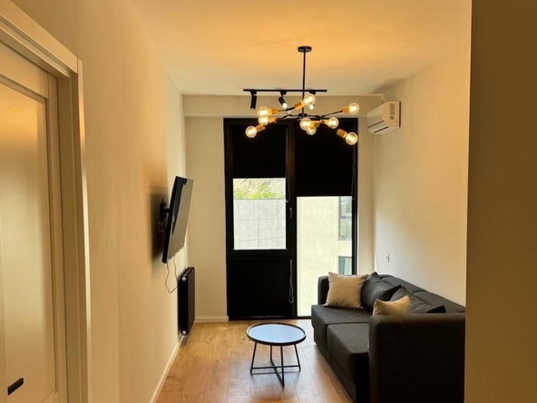 اجاره آپارتمان 1 خوابه در واکه 24 1 bedroom apartment for rent in Vake