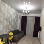 1 bedroom apartment in Gldani for rent