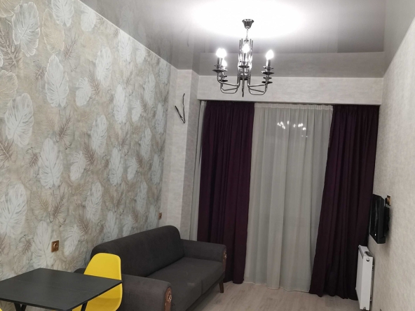 اجاره آپارتمان 1 خوابه در گلدانی 4 1 bedroom apartment in Gldani for rent