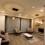 1 bedroom apartment in Saakadze Tower for rent