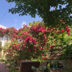 2 Bedroom Villa in Vera For Rent