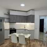 2 bedroom apartment for rent in Dirsi Isani