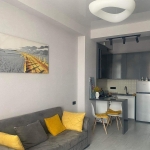 2 bedroom apartment in Isani for rent