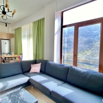 2 bedroom apartment in Vake for rent