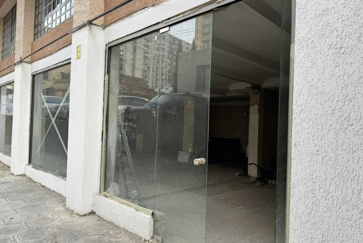 Commercial space in Nadzaladevi for rent