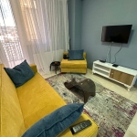 One bedroom apartment in Isani for rent (7)