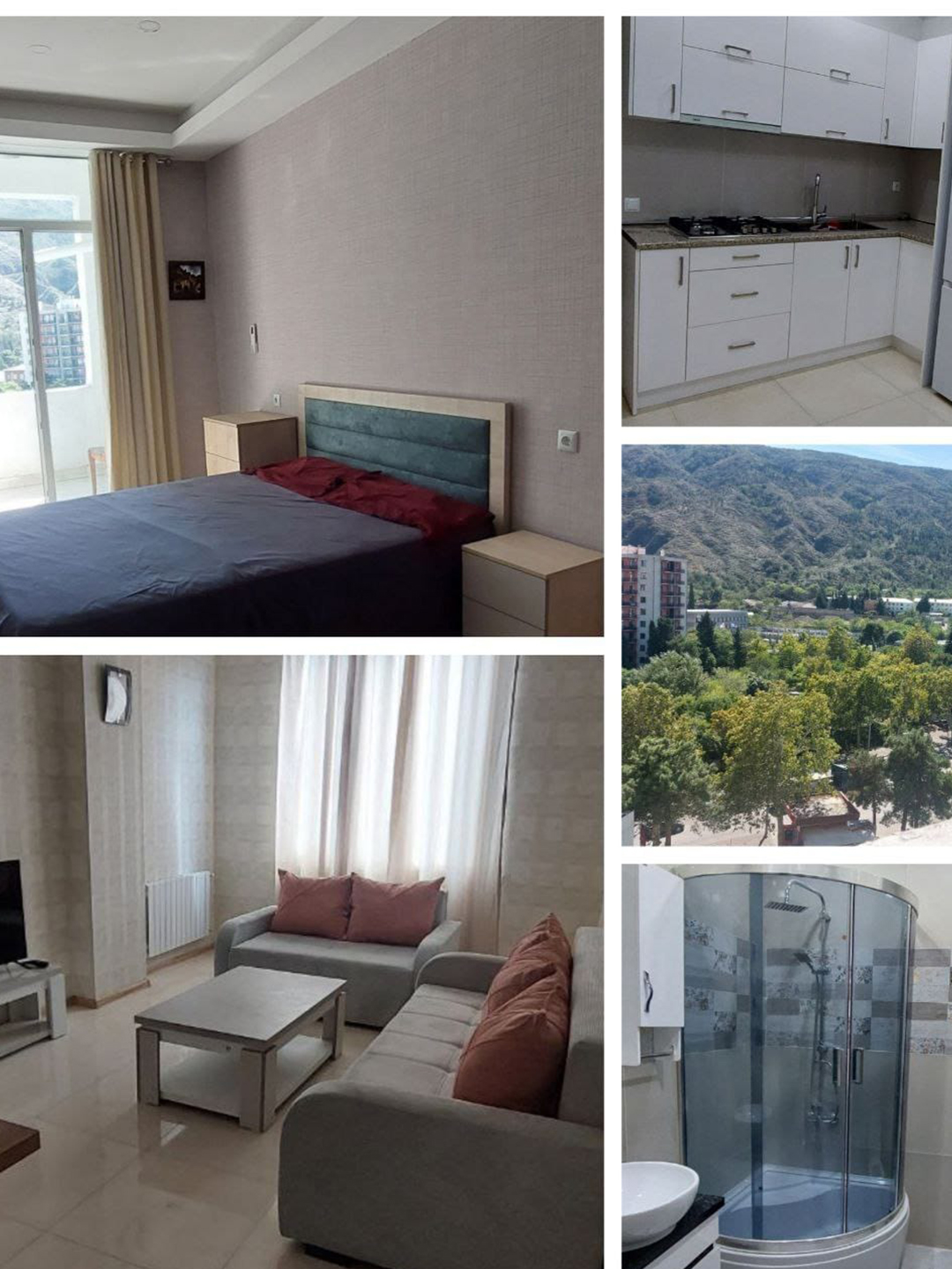 One bedroom apartment in Ortachala for rent