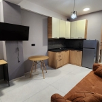 One bedroom apartment in Vashlijvari for rent