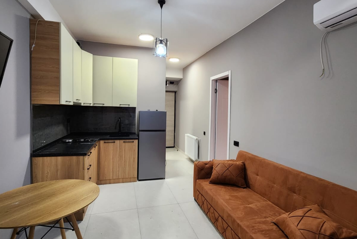 One bedroom apartment in Vashlijvari for rent