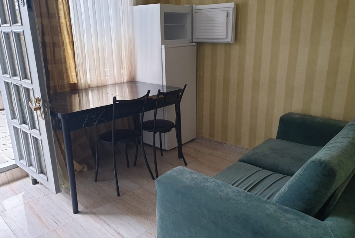 1 bedroom apartment for rent in Avlabari