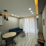 1 bedroom apartment for rent in Krtsanisi Twins
