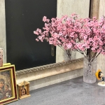 1 bedroom apartment for rent in Nadzaladevi