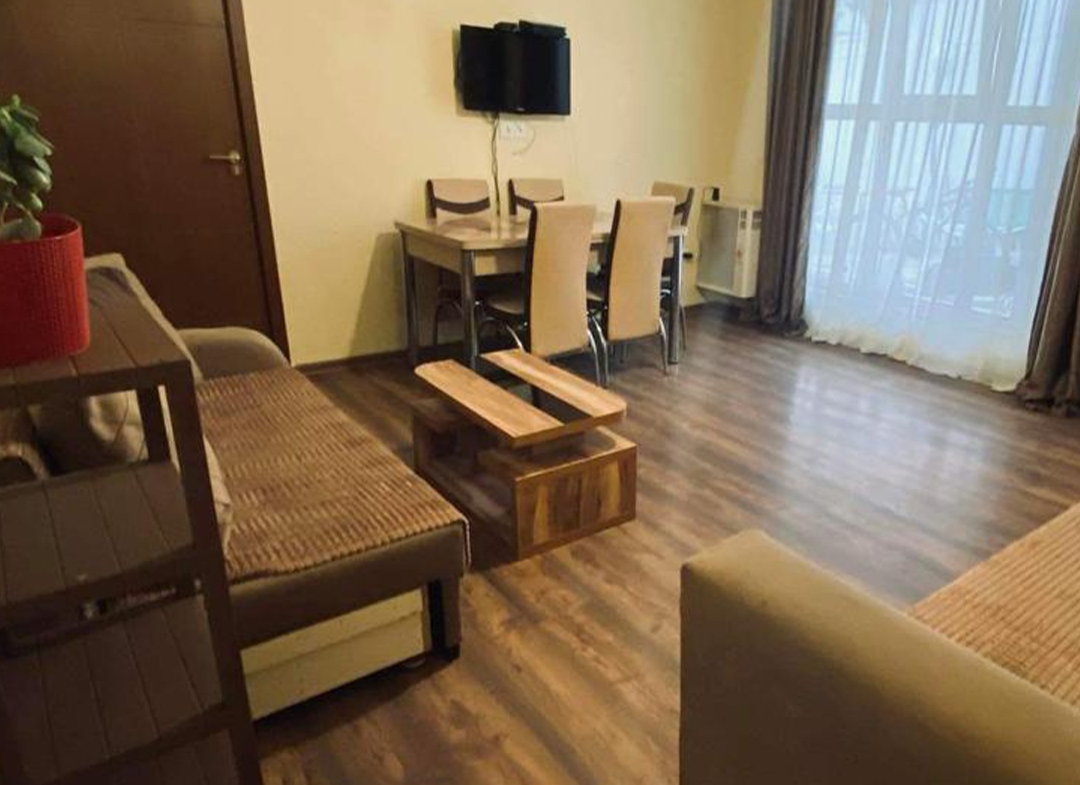 1 bedroom apartment for rent in Vedzisi