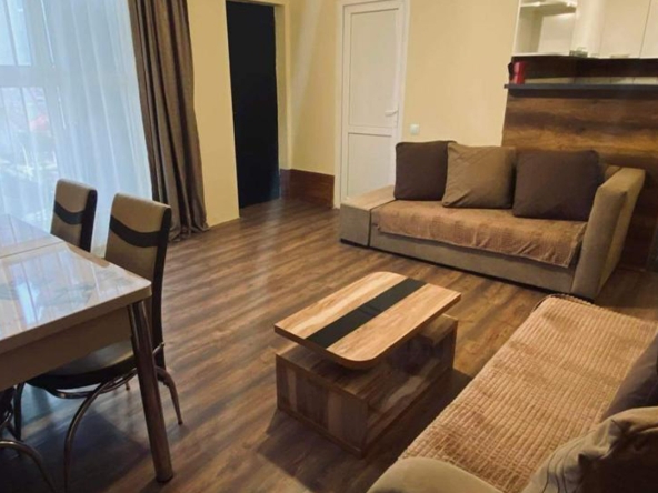 اجاره آپارتمان 1 خوابه در ودزیسی 8 1 bedroom apartment for rent in Vedzisi