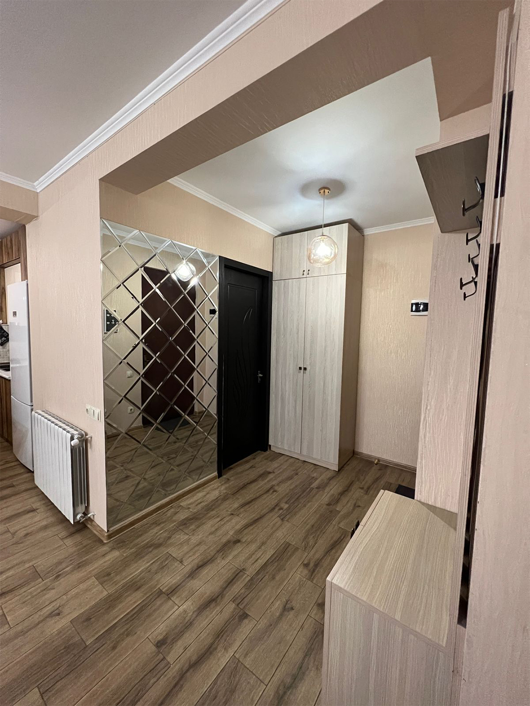 2 bedroom apartment in Nadzaladevi for rent