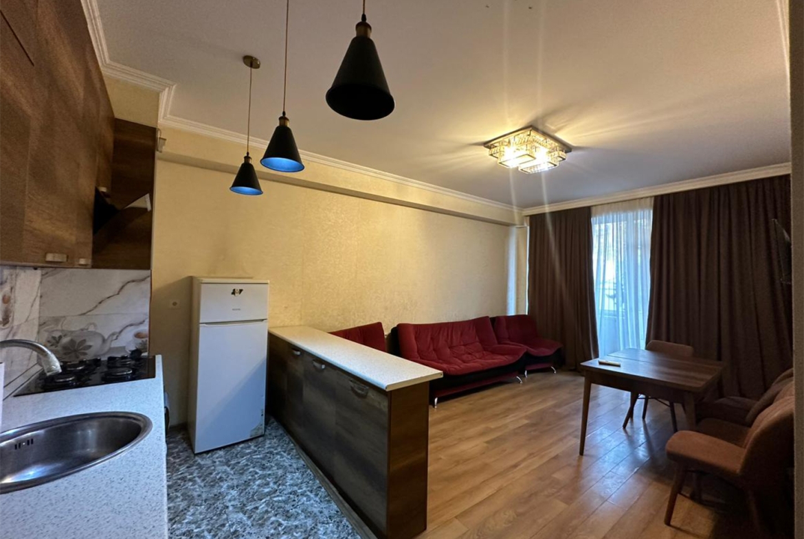 2 bedroom apartment in Nadzaladevi for rent