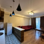 2 bedroom apartment in Nadzaladevi for rent