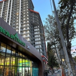 Studio apartment for sale in Nadzaladevi