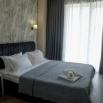 1 bedroom apartment for rent in Krtsanisi Twins complex