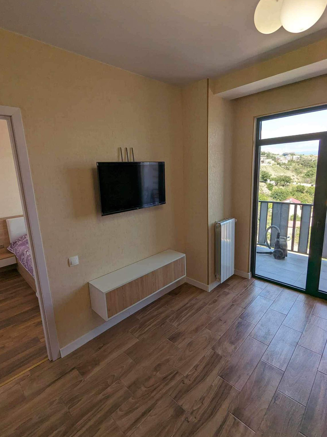 1 bedroom apartment for rent in Saburtalo