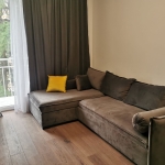 1 bedroom apartment for rent in Saburtalo