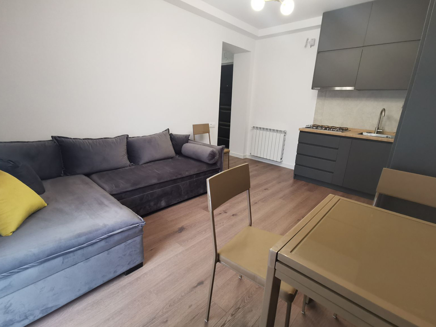 1 bedroom apartment for rent in Saburtalo