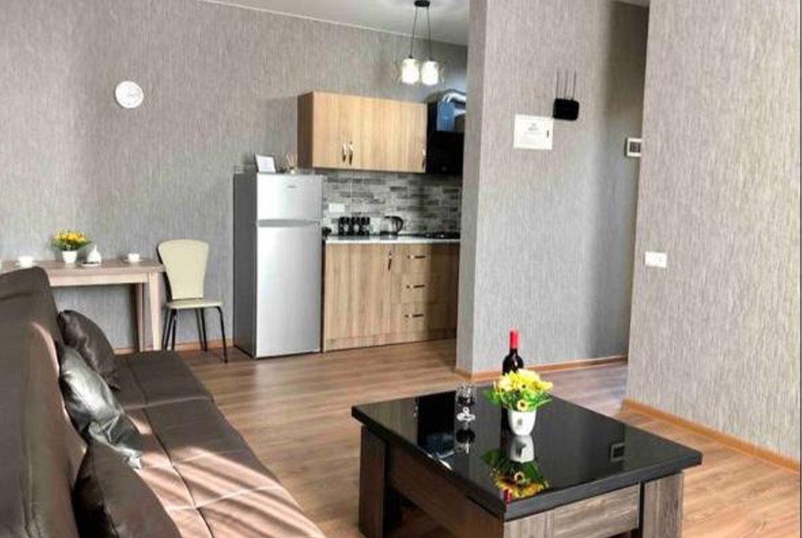 1 bedroom apartment in Chugureti for rent