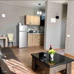 1 bedroom apartment in Chugureti for rent