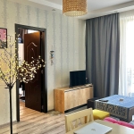 1 bedroom apartment in Didi Digomi for rent