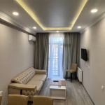 1 bedroom apartment in Didi Digomi for rent