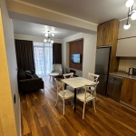 1 bedroom apartment in Didi Digomi for rent