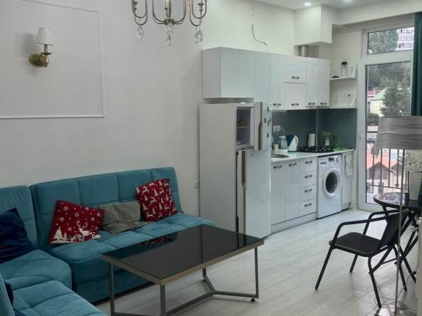 اجاره آپارتمان 1 خوابه در سابورتالو 20 1 bedroom apartment in Saburtalo for rent