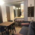 1 bedroom apartment for rent in Didi Digomi