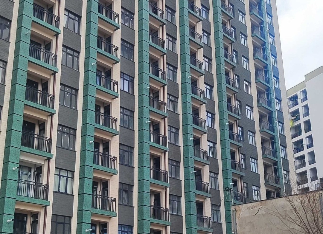 1 bedroom apartment for rent in Gldani