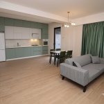 1 bedroom apartment for rent in Green District In Lisi complex
