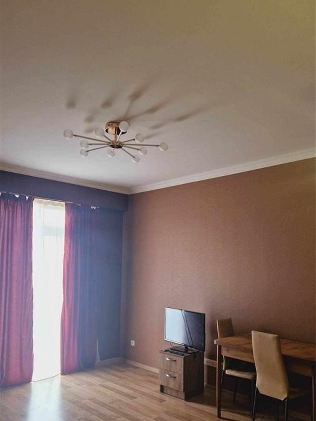 1 bedroom apartment for rent in Nadzaladevi