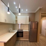 1 bedroom apartment for rent in Nadzaladevi