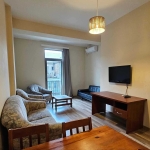 1 bedroom apartment for rent in Saburtalo