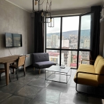 1 bedroom apartment in Saburtalo for rent