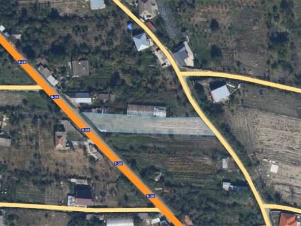 1520 кв.м сельскохозяйственных угодий в Мухрани 14 1520 sq.m agricultural land in Mukhrani
