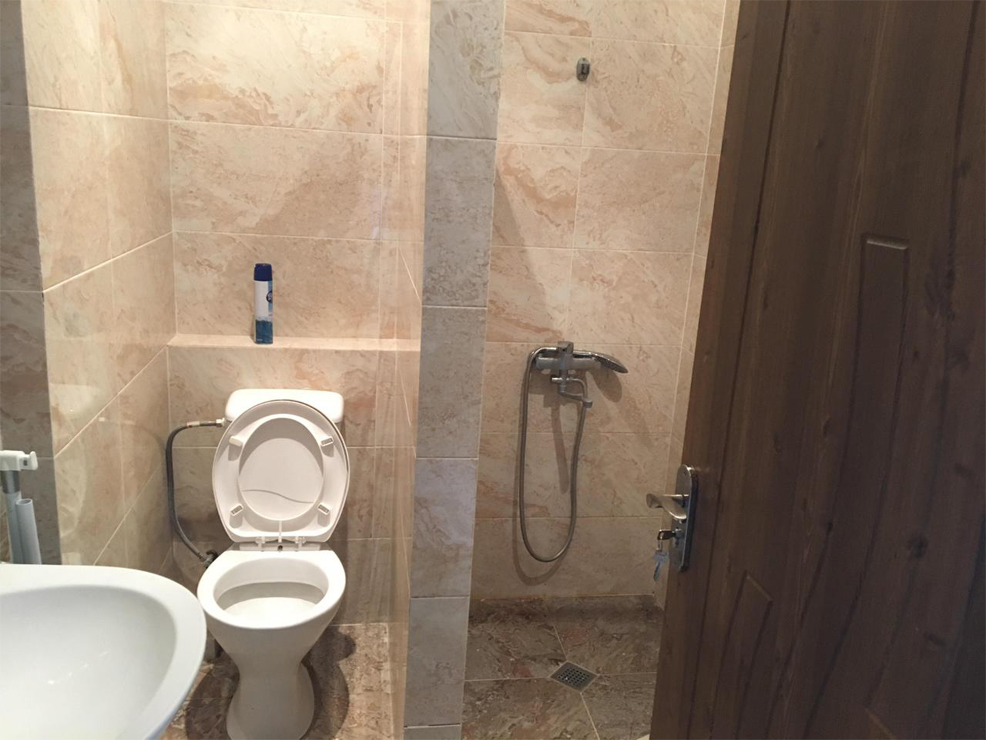 2 bedroom apartment for rent in Saburtalo