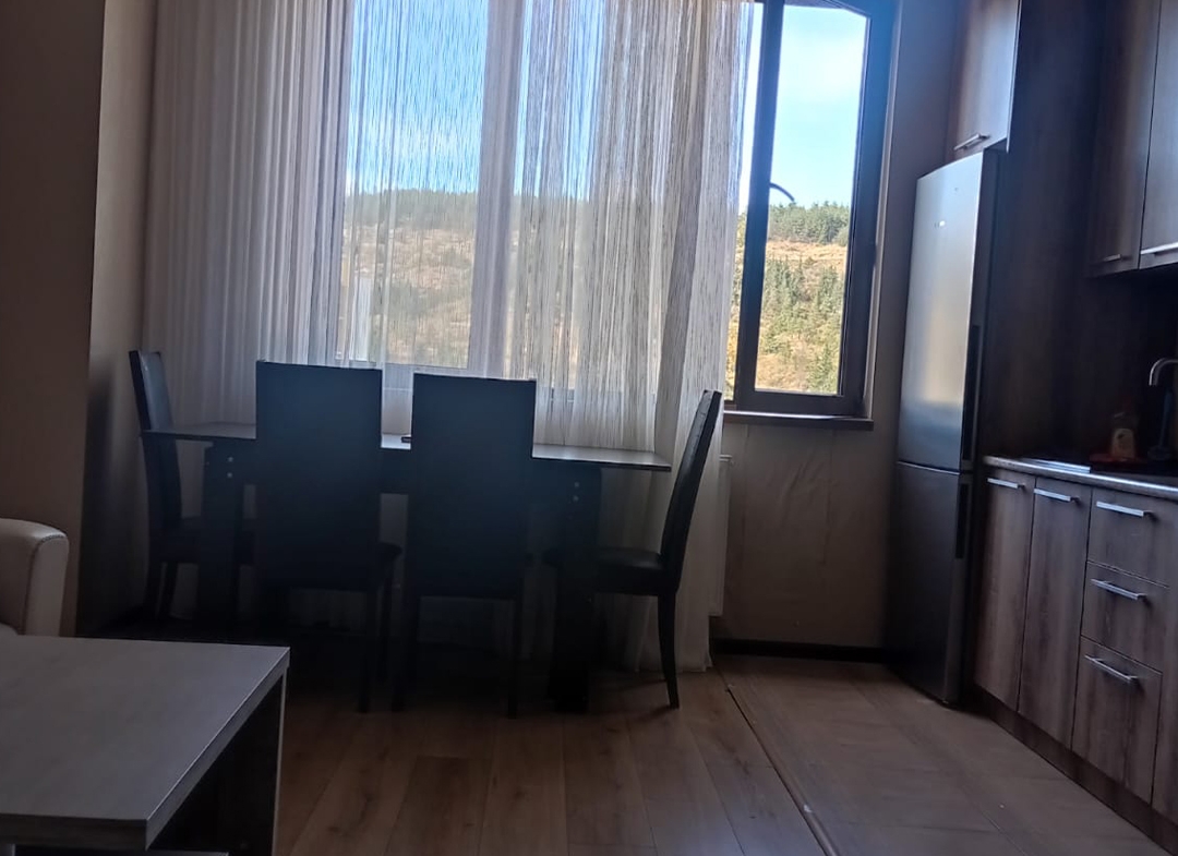 2 bedroom apartment for rent in Saburtalo